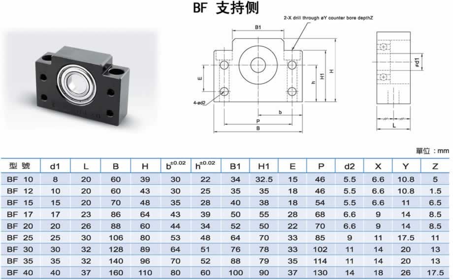 BF支持侧